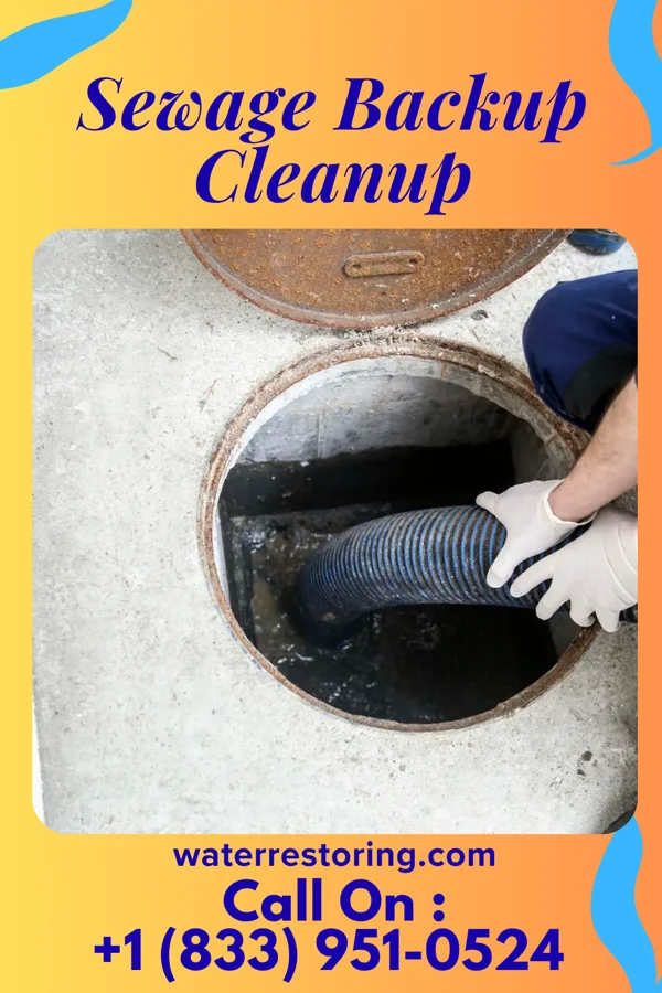 Sewage Backup Cleanup in Fairfax, OK